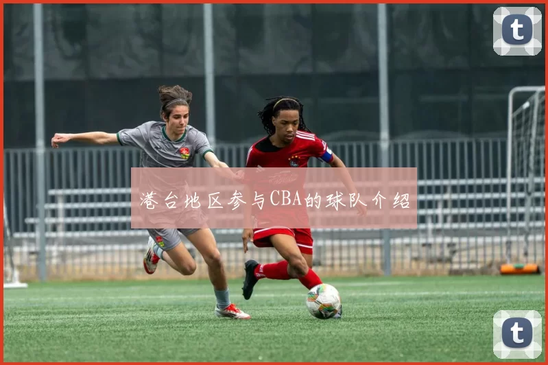 港台地区参与CBA的球队介绍