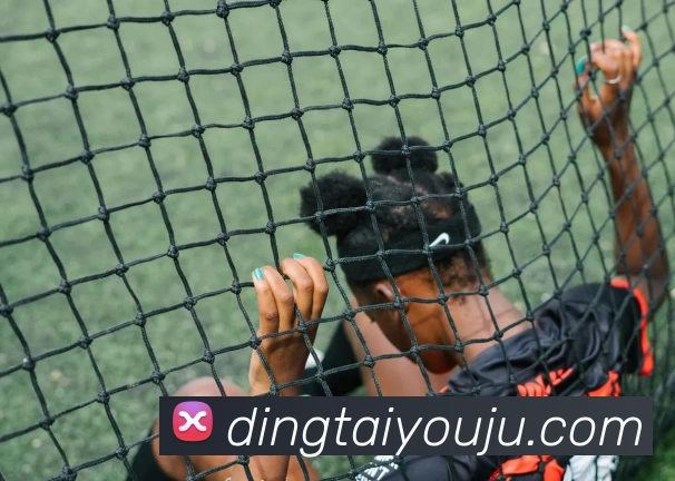 九游体育品牌故事